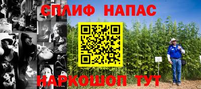 мдпв Нальчик