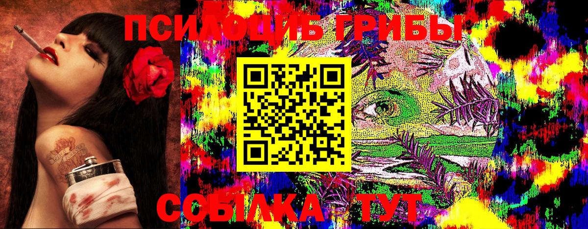 Псилоцибиновые грибы GOLDEN TEACHER  Вход с VPN  Сердобск 